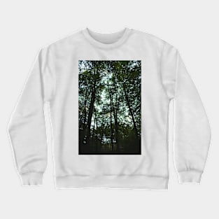 Moody Forest Crewneck Sweatshirt